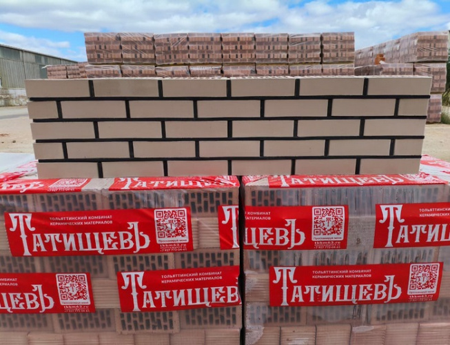 Лицевой кирпич 1 НФ пустотелый Платина